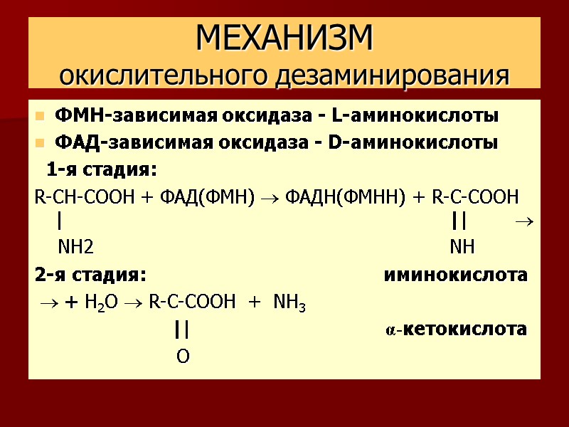 МЕХАНИЗМ окислительного дезаминирования ФМН-зависимая оксидаза - L-аминокислоты ФАД-зависимая оксидаза - D-аминокислоты   1-я